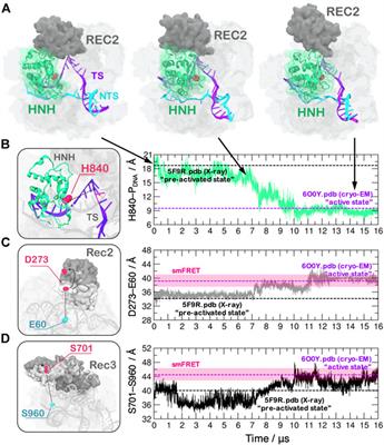 Molecular Dynamics to Predict Cryo-EM: Capturing Transitions and Short-Lived Conformational States of Biomolecules